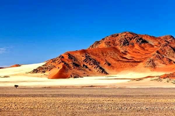 新游戏模拟器引领生活民族风情体验潮流，经济效益显著提升